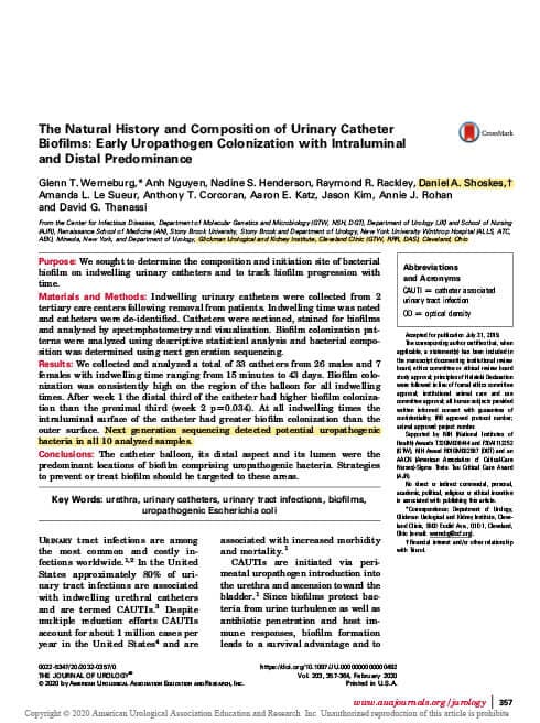 Detection of Bacteria by Next-Generation Sequencing in Men with Chronic Prostatitis/Chronic Pelvic Pain Syndrome: Incidence Correlation to Conventional Culture and Impact on Symptoms